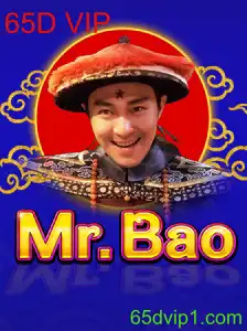 Descubra o Mundo Empolgante de MrBao e o Desafio 65D VIP
